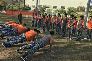 1527557202634233.png 9.png